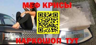 индика Камень-на-Оби