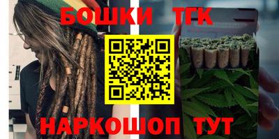 индика Камень-на-Оби