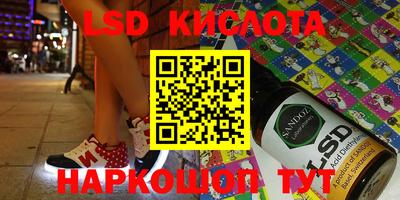 индика Камень-на-Оби