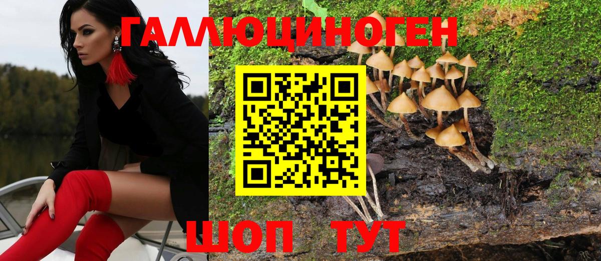Галлюциногенные грибы GOLDEN TEACHER  Галлюциногенные грибы Cubensis  Мелеуз  Вход с VPN 